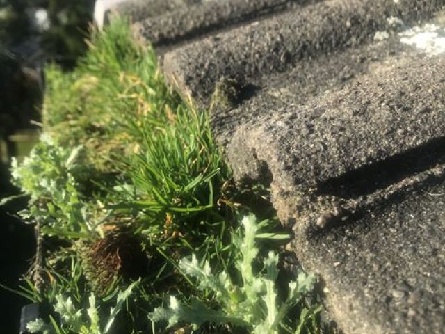gutter-cleaning-2