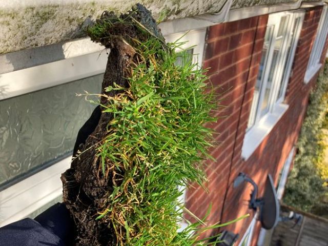 5gutter-cleaning-3
