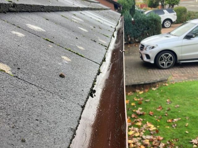 gutter-cleaning-8