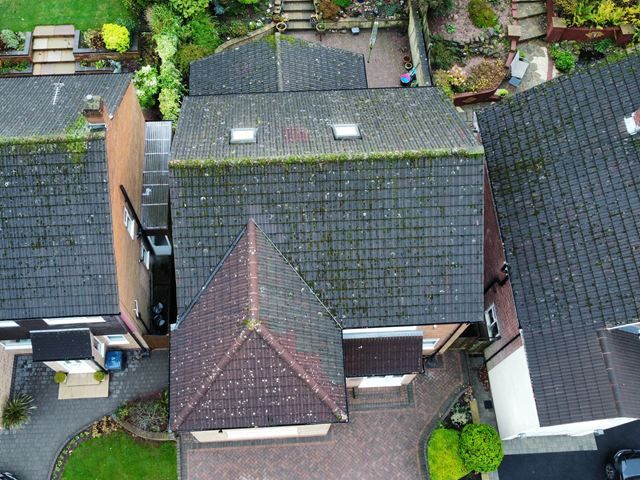 Roof Before Cleaning