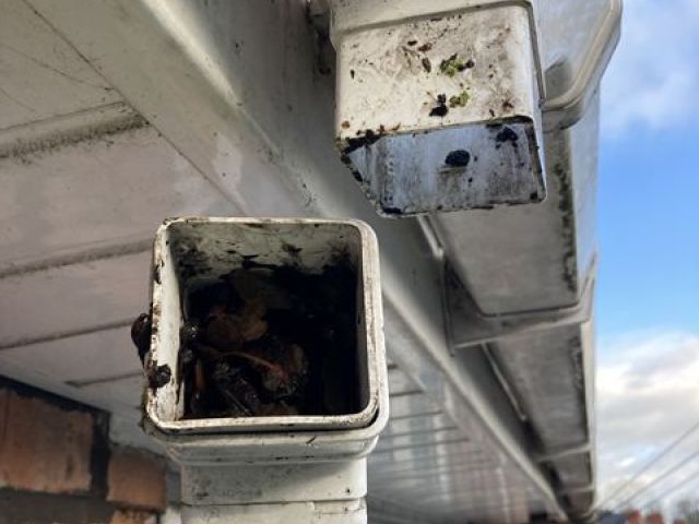 gutter-cleaning-6