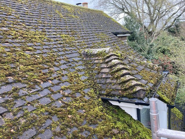 Roof Before Cleaning