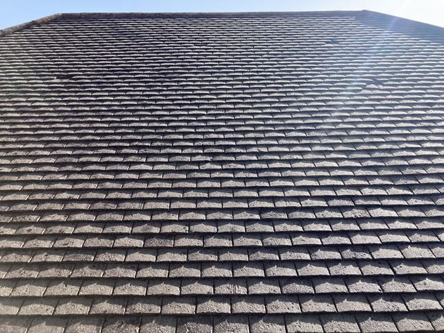roof-cleaning-11