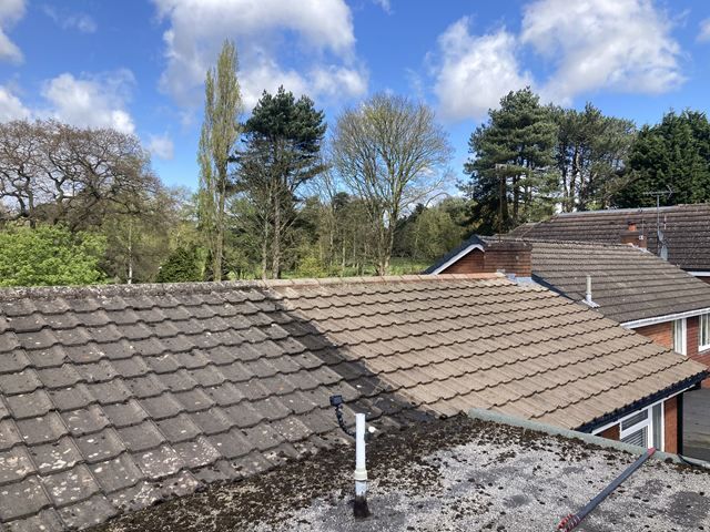 roof-cleaning-5