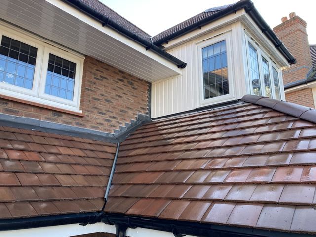 Roof Cleaning