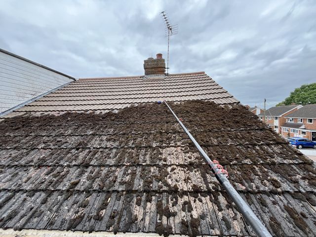 Roof Cleaners in Sutton Coldfield