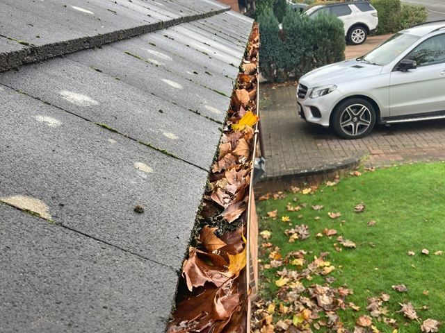 Gutter Cleaning