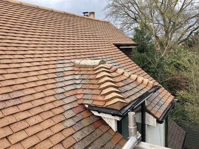 Roof After Cleaning